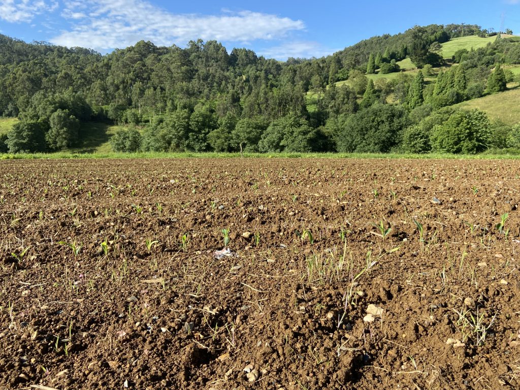 El poder de la mirada